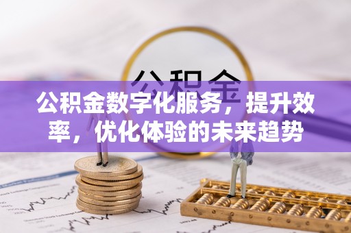 崖州公积金数字化服务，提升效率，优化体验的未来趋势