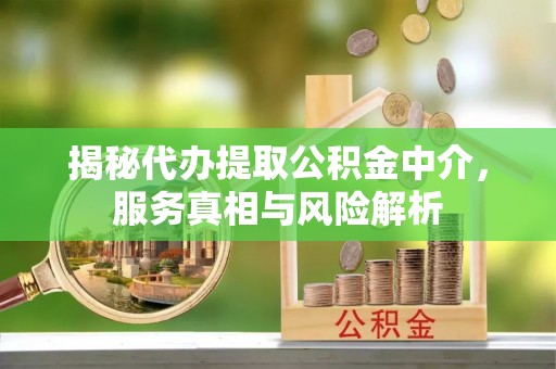 崖州揭秘代办提取公积金中介，服务真相与风险解析
