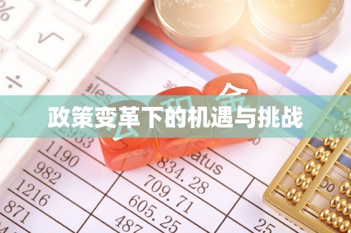 崖州政策变革下的机遇与挑战