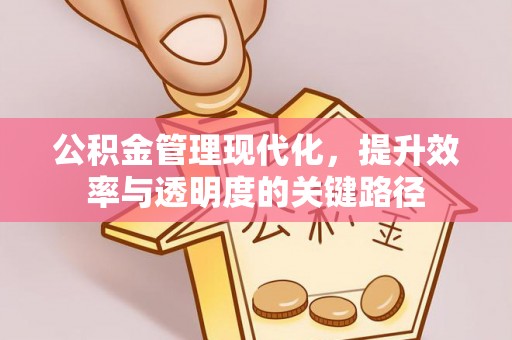 崖州公积金管理现代化，提升效率与透明度的关键路径