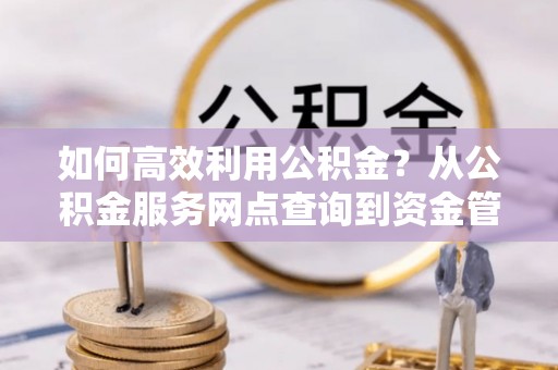 崖州如何高效利用公积金？从公积金服务网点查询到资金管理全攻略