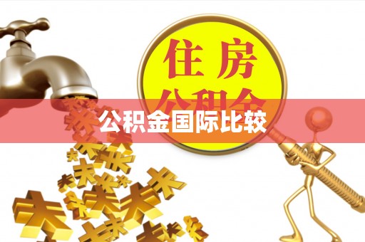 崖州公积金国际比较