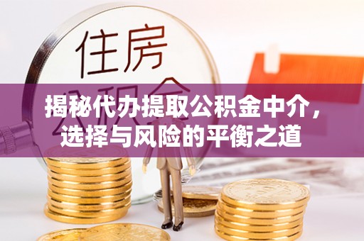 崖州揭秘代办提取公积金中介，选择与风险的平衡之道