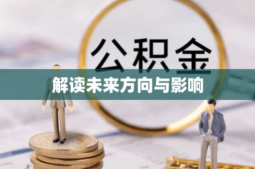 崖州解读未来方向与影响