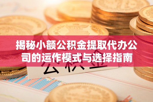 崖州揭秘小额公积金提取代办公司的运作模式与选择指南