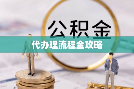 崖州代办理流程全攻略