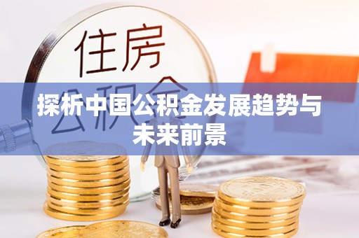 崖州探析中国公积金发展趋势与未来前景