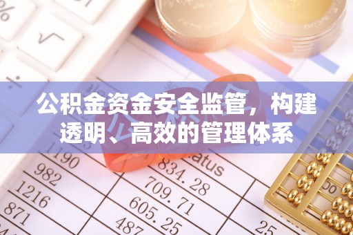 崖州公积金资金安全监管，构建透明、高效的管理体系