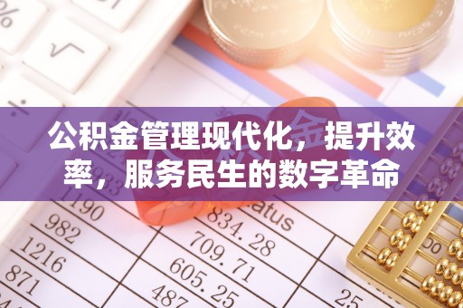崖州公积金管理现代化，提升效率，服务民生的数字革命