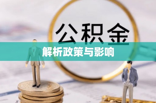 崖州解析政策与影响