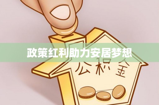 崖州政策红利助力安居梦想