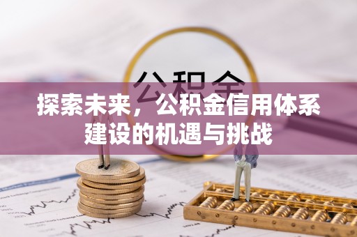 崖州探索未来，公积金信用体系建设的机遇与挑战