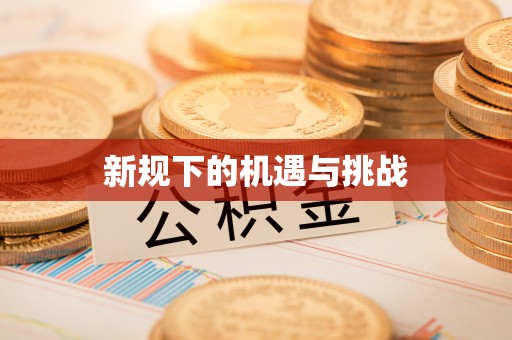 崖州新规下的机遇与挑战