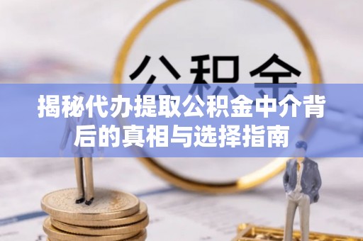 崖州揭秘代办提取公积金中介背后的真相与选择指南