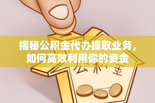崖州揭秘公积金代办提取业务，如何高效利用你的资金