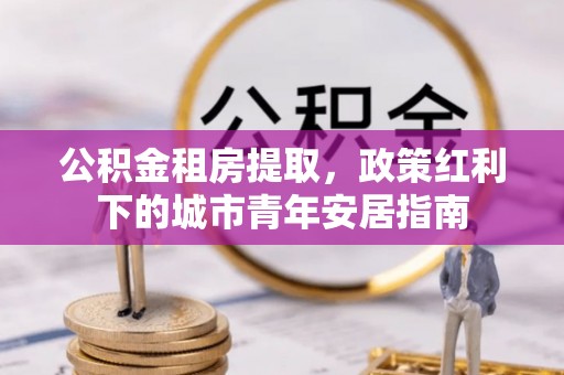 崖州公积金租房提取，政策红利下的城市青年安居指南