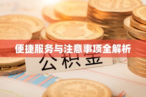 崖州便捷服务与注意事项全解析