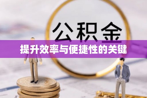 崖州提升效率与便捷性的关键