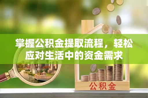 崖州掌握公积金提取流程，轻松应对生活中的资金需求