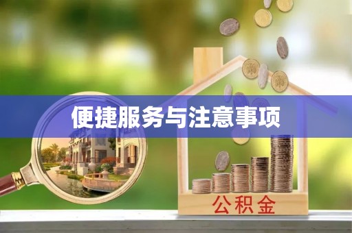 崖州便捷服务与注意事项