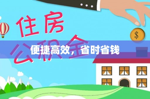 崖州便捷高效，省时省钱