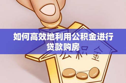 崖州如何高效地利用公积金进行贷款购房