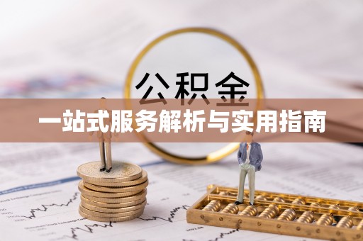 崖州一站式服务解析与实用指南