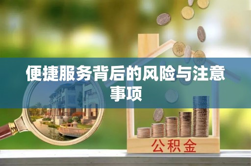 崖州便捷服务背后的风险与注意事项