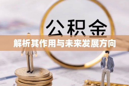 崖州解析其作用与未来发展方向