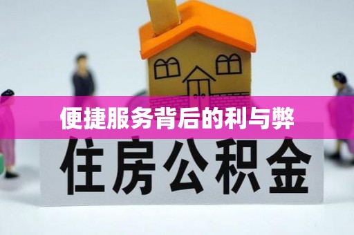 崖州便捷服务背后的利与弊