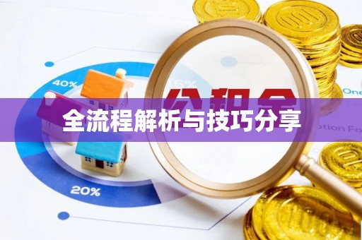 崖州全流程解析与技巧分享