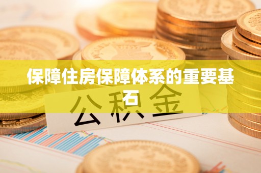 崖州保障住房保障体系的重要基石