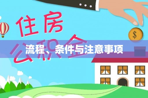 崖州流程、条件与注意事项
